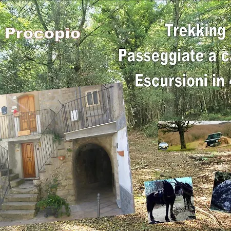 Guest house Affitta San Procopio Troina